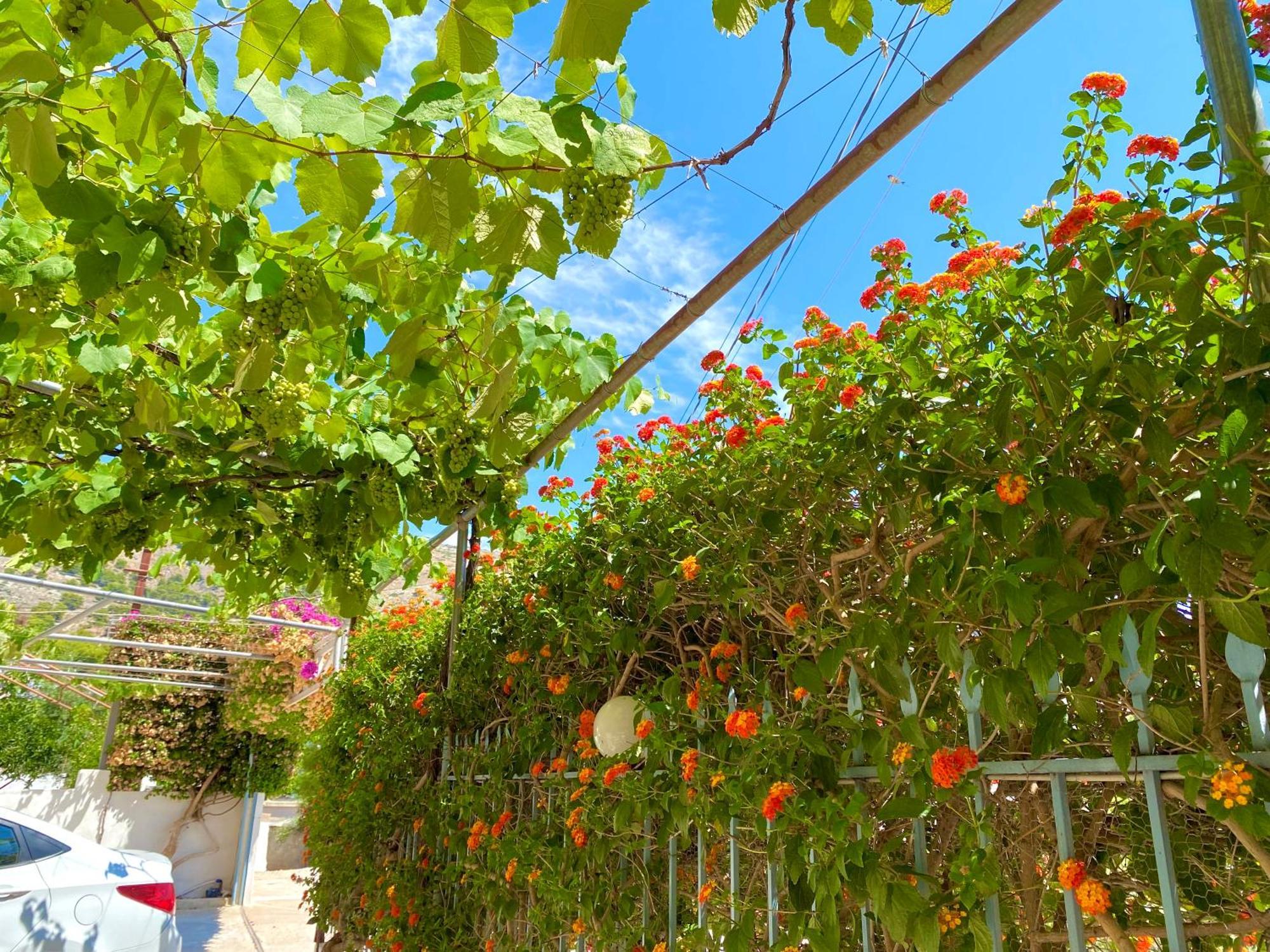 Tomi Apartments Sarande Luaran gambar